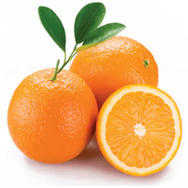Orange Navel